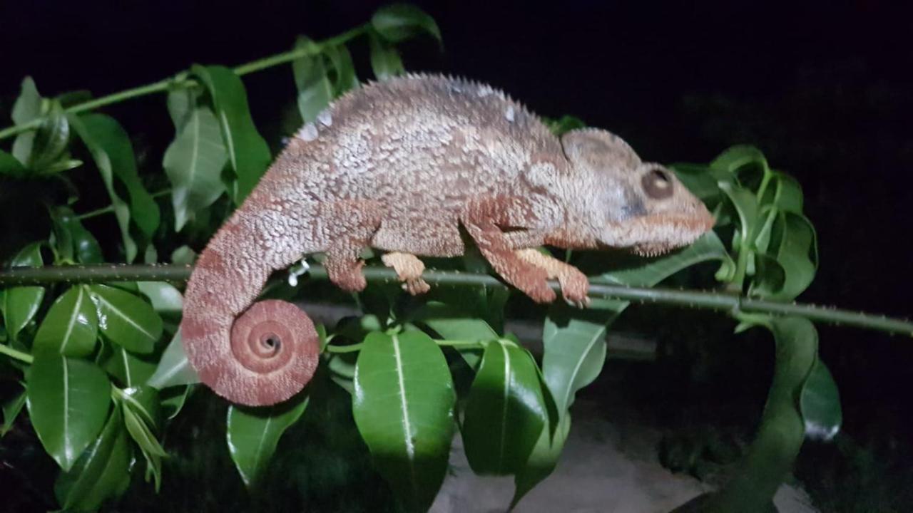 Sanjeela-Plage Coco Antsiranana Exterior photo